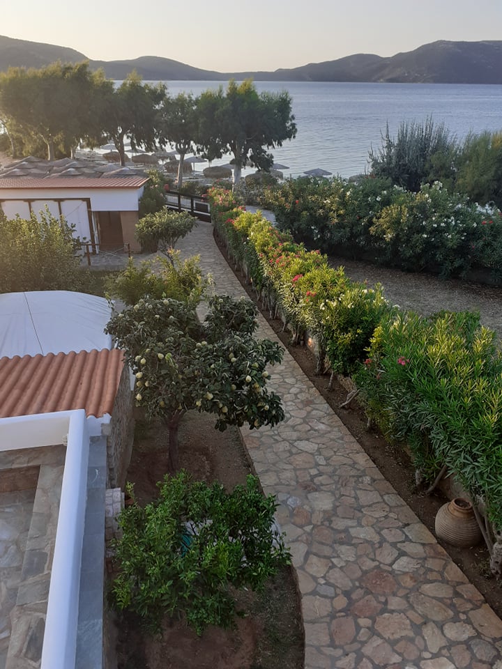 ΘΕΤΙΣ — 5