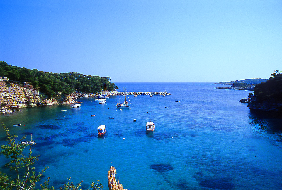 Βότση — 3