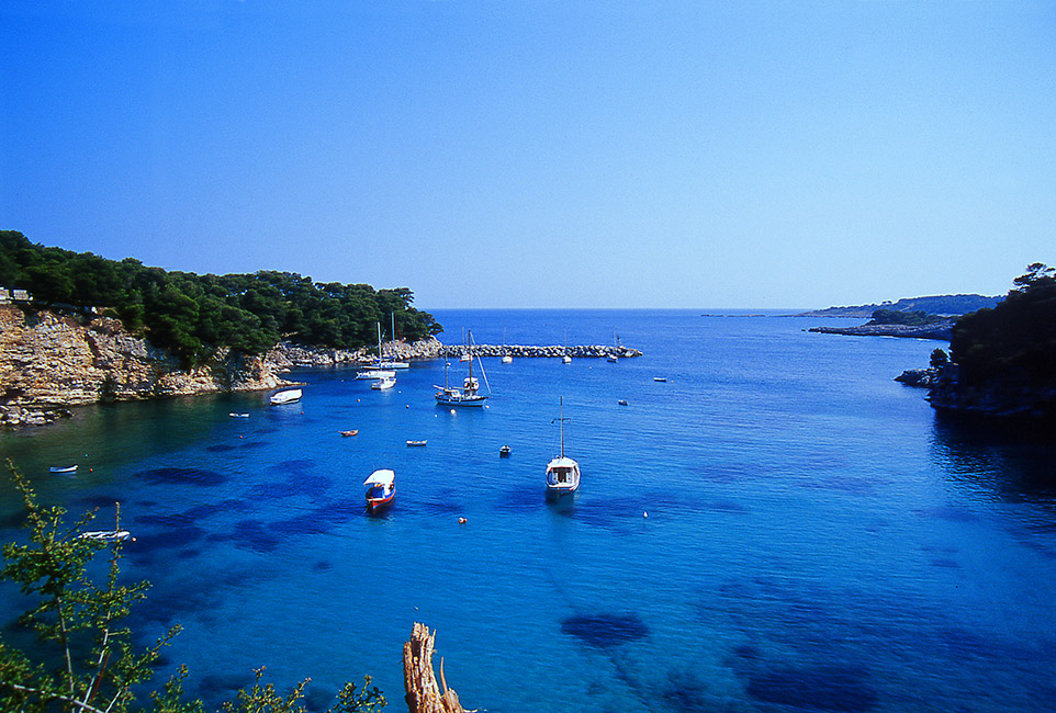 Βότση — 2