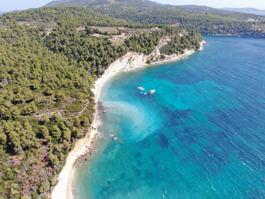 Σπαρτίνες — 3