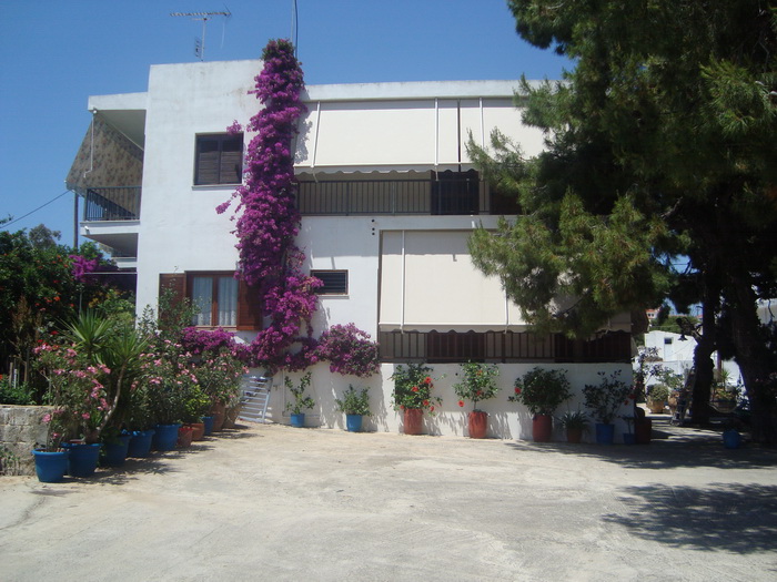 ΔΗΜΗΤΡΑ STUDIOS — 12