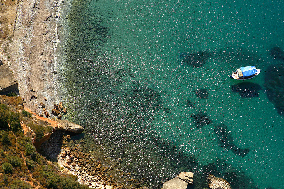 Μικρός Μουρτιάς — 3