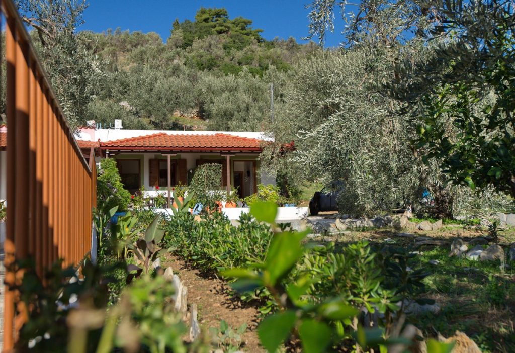 Εξοχική Κατοικία Κρίνος — 14