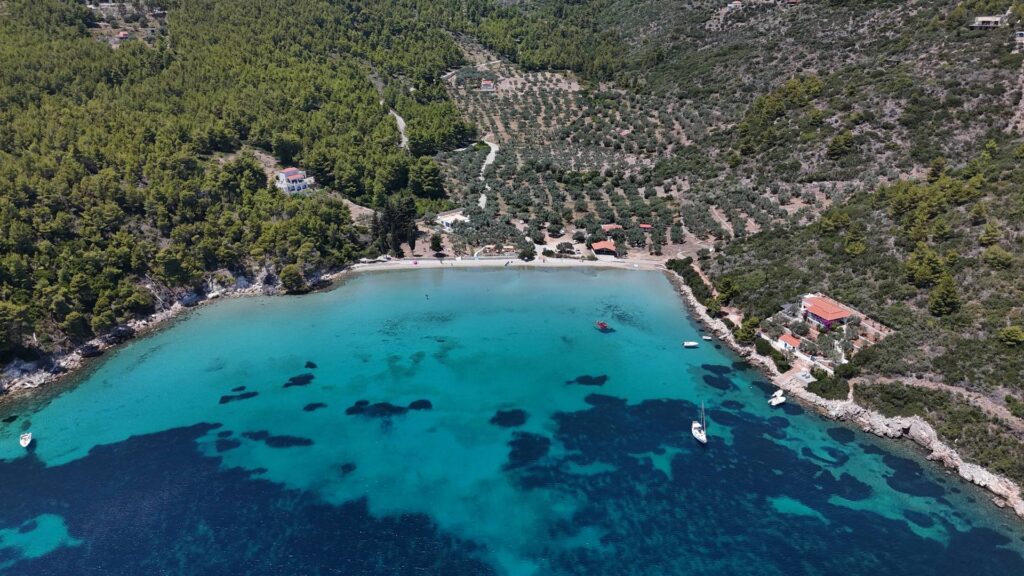 Τζώρτζη Γιαλός — 4
