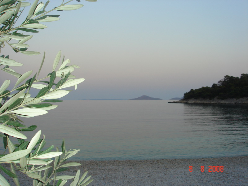 ΔΟΛΟΠΕΣ — 14