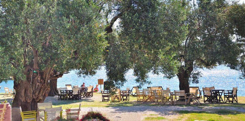 ELIA CAFE — 22