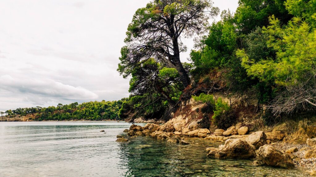 Τζώρτζη Γιαλός — 3