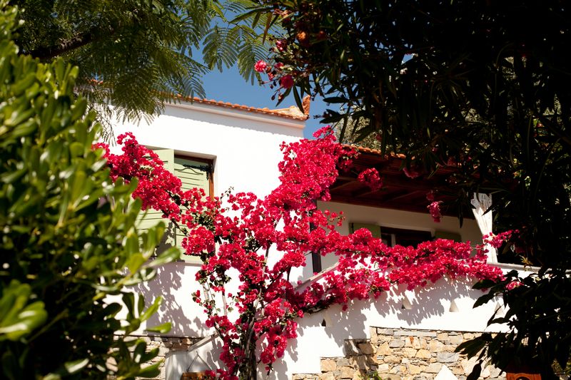 ΠΑΡΑΘΑΛΑΣΣΙΕΣ ΚΑΤΟΙΚΙΕΣ ΧΡΗΣΤΟΥ — 4
