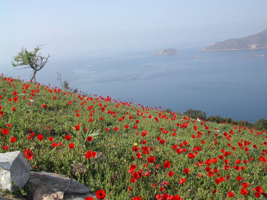Πεζοπορία & Διαδρομές — 5